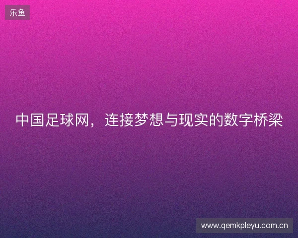 中国足球网，连接梦想与现实的数字桥梁